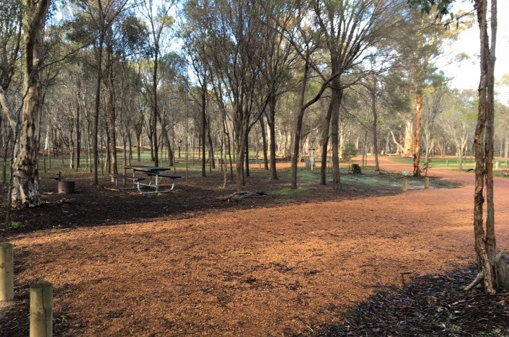 Dryandra Woodland National Park, Australia